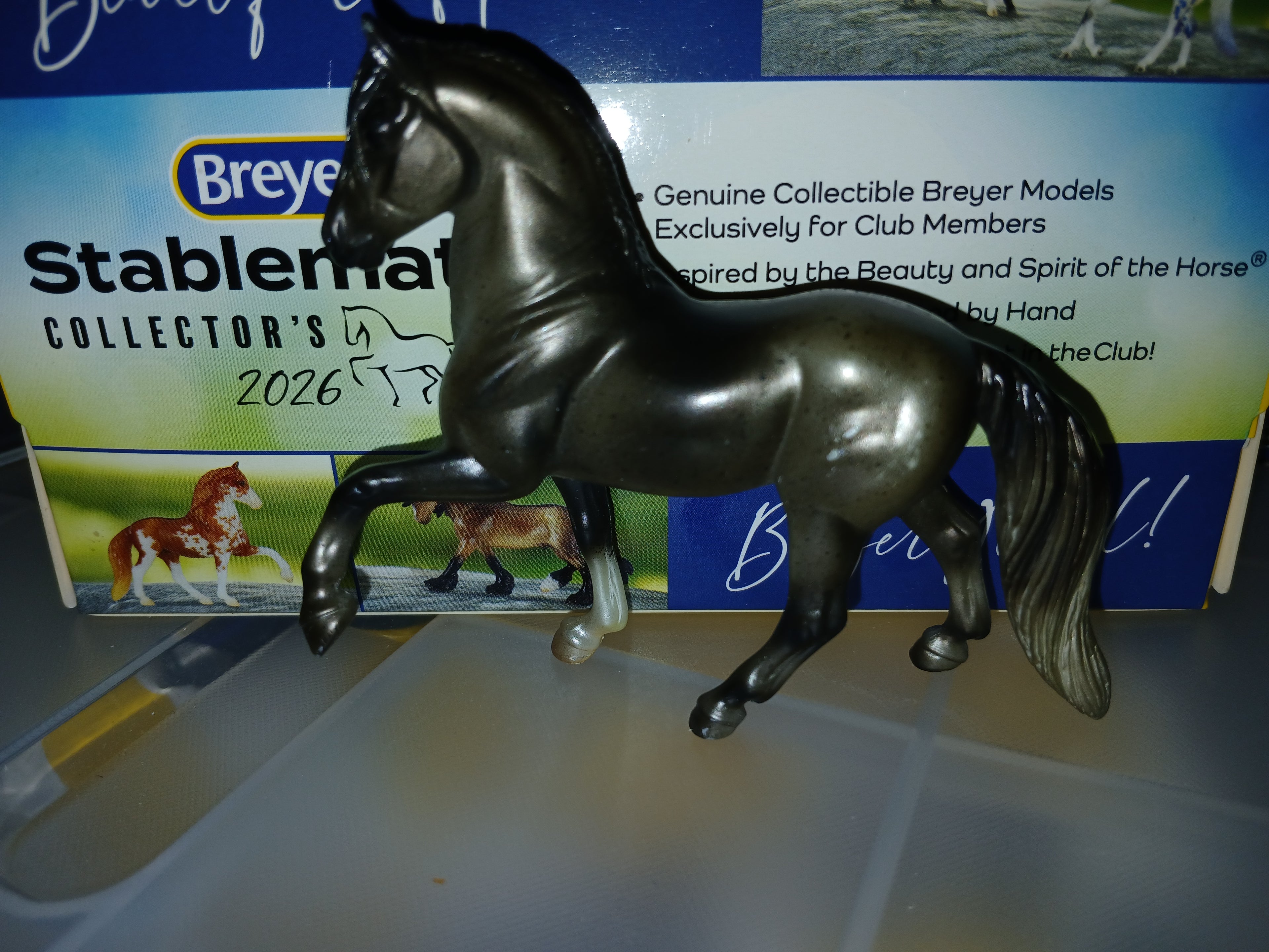 Breyer horse  stablemate retired Paso(rubs)