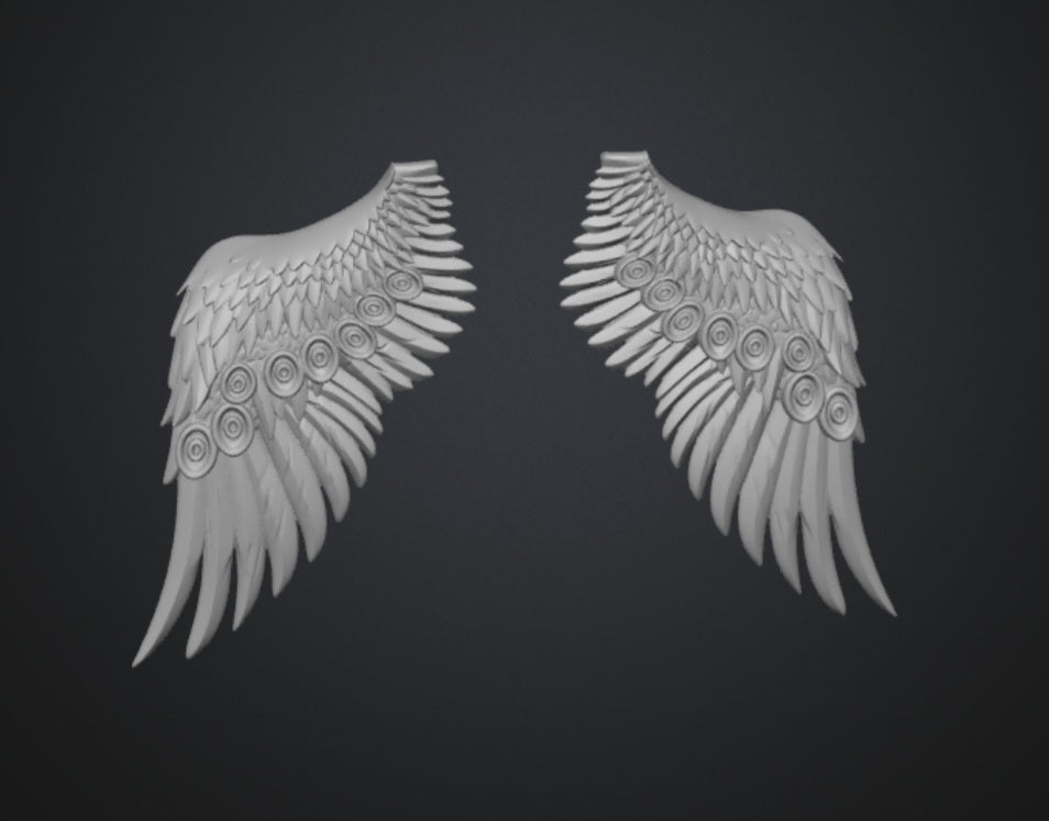 Custom Peacock style wings