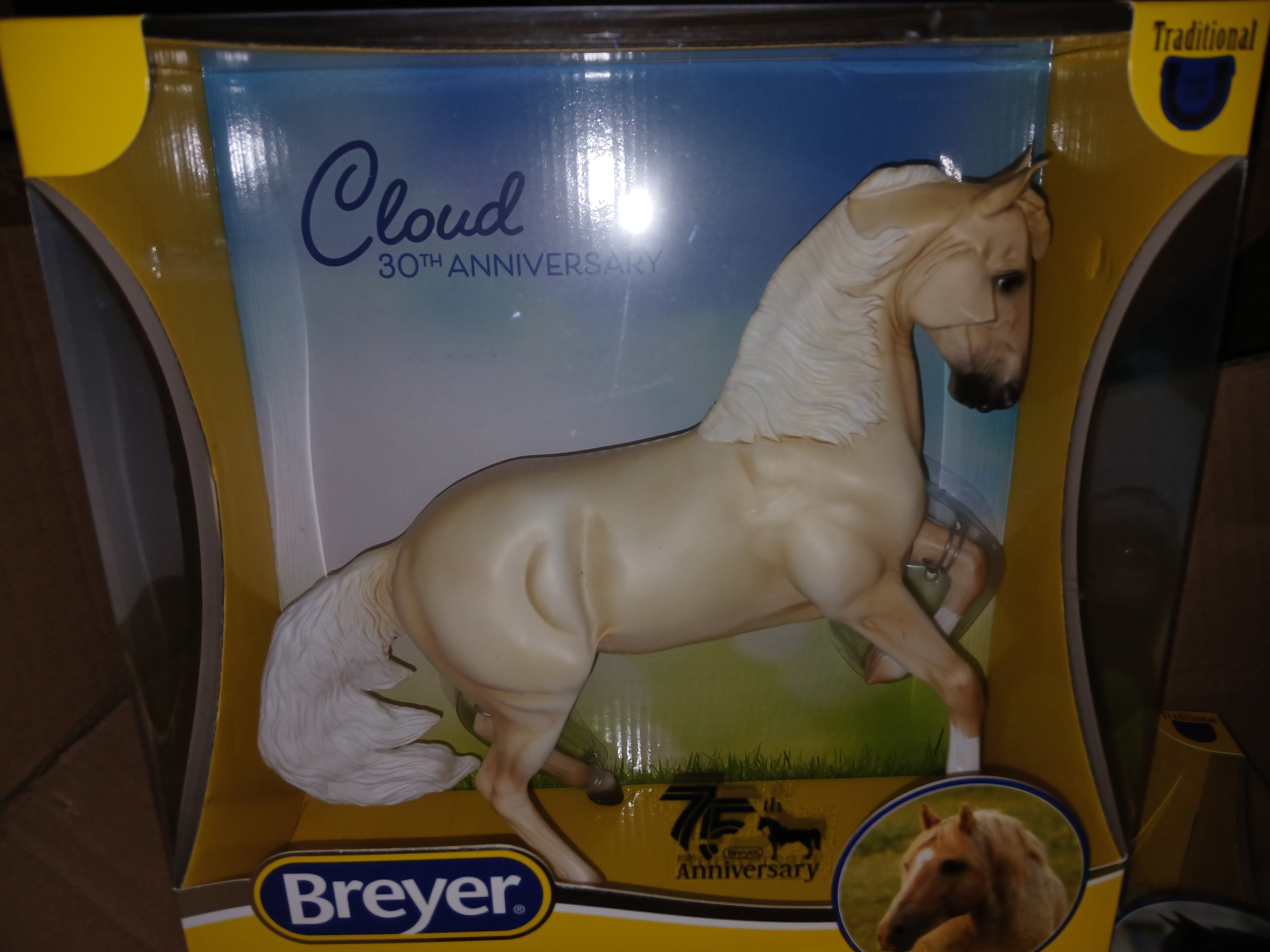 Breyer Cloud