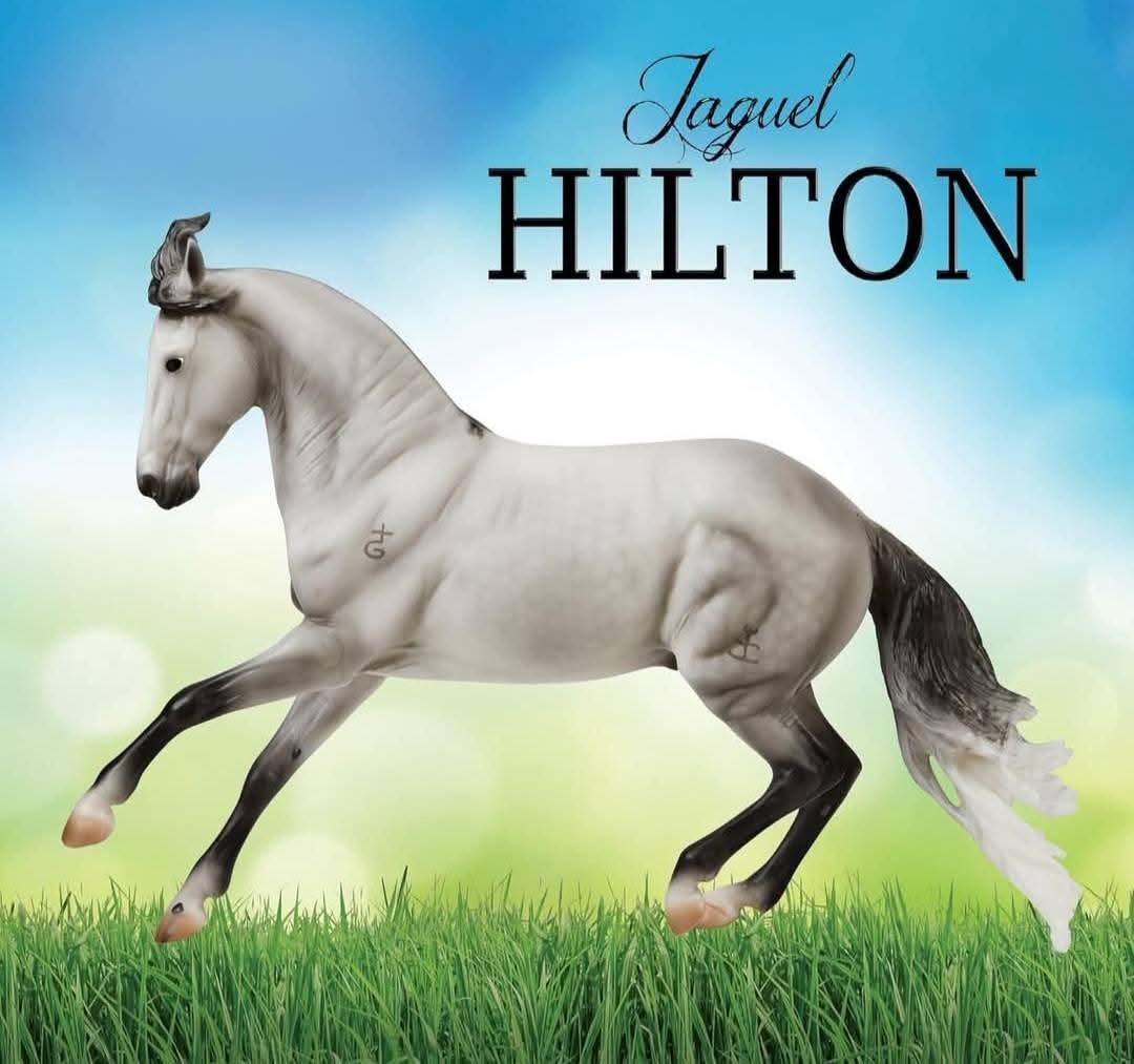 Breyer 2026 Jaquar Hilton