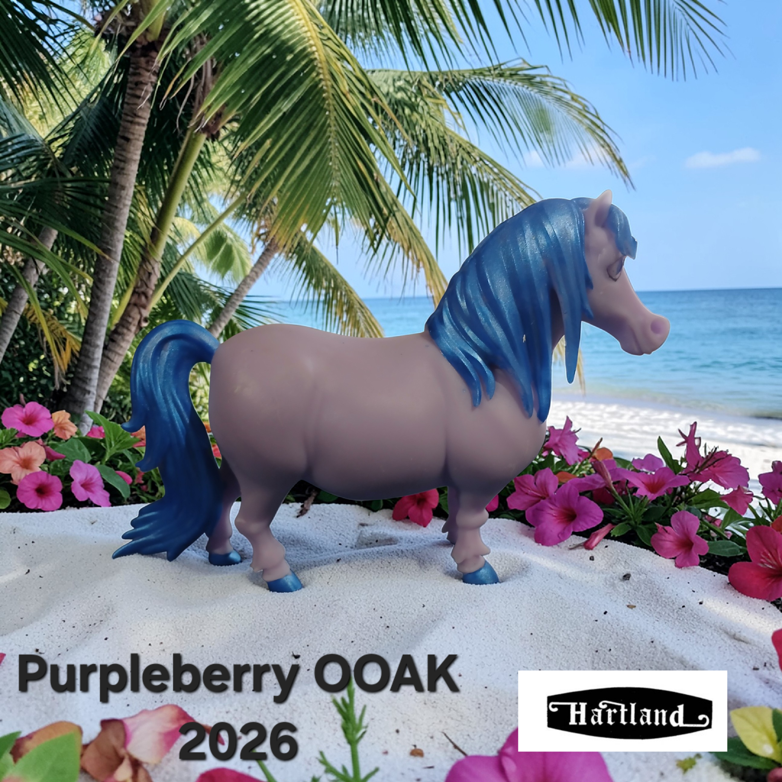 Hartland Purple Berry pony